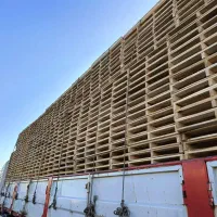 تولید پالت چوبی