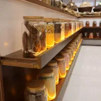 عکاسی فضای باز ثبت لحظات ماندگار