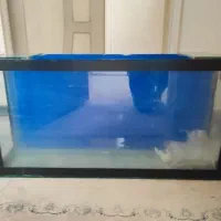 آکواریوم شیشه‌ای