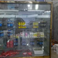 یخچال ویترینی پیشخواندار،یخچال ایستاده و ال ای دی|فروشگاه و مغازه|مشهد, جانباز|دیوار