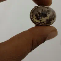 انگشتر شجر