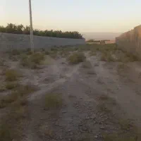 ۱۸۵۰متر زمین مناسب باغ سوله گلخانه وغیره بازمرگان|فروش خانه و ویلا|مشهد, میان ولایت|دیوار