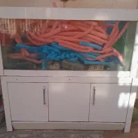 اکواریوم بزرگ