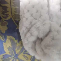سرهمی نوزادی|کفش و لباس بچه|گرگان, |دیوار