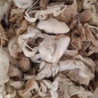 پشم تشکی