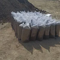 عرضه مستقیم کود برگ باکتری وکود بستر باکتری