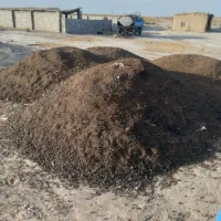 کود گوسفندی|خدمات باغبانی و درختکاری|ساری, |دیوار