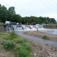 سرایدار و نگهدار سالمند