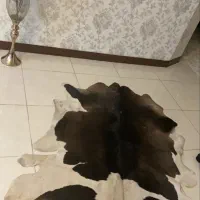 فرش پوست طبیعی درحدنو|فرش|اسلام‌شهر, شهرک قائمیه|دیوار