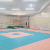 باشگاه رزمی اطلس