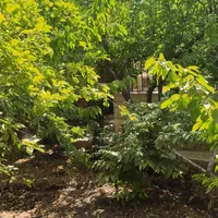 خانه سوئیت ویلا