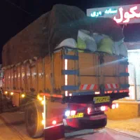 خارشتر تمیز سبز نرم|عمده‌فروشی|شیراز, دانشکده دامپزشکی شیراز|دیوار