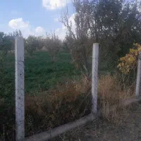 باغ 4 هزار متر شهرستان میانه 3 ساعت آب|فروش زمین و ملک کلنگی|کندوان, |دیوار