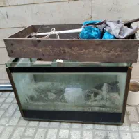 اکواریوم شیشه ۱۰ میل