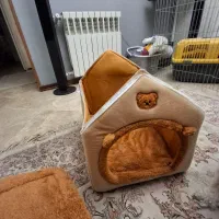 خانه سگ و گربه