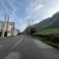 زمین-ویو-ابدی-بر-اصلی-شیخ-زاهد