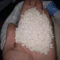 برنج صدری|عمدهفروشی|رشت, یخسازی|دیوار