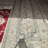 فرس