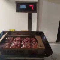 تهیه وتوزیع بسته های مناسبتی،هدیه، حمایتی