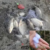 وسایل صیادی|ماهیگیری|پارسیان, |دیوار