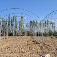 استخدام نیروی کار جهت نصب گلخانه|استخدام صنعتی، فنی، مهندسی|خمین, |دیوار