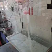 آکواریوم شیشه خم|ماهی|فردیس, سرحدی|دیوار