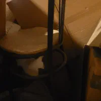 فرش ماشینی ۶ متری به همراه وسایل اضافه|فرش|رشت, دیلمان|دیوار