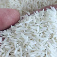 برنج هاشمی|خوردنی و آشامیدنی|پره‌سر, |دیوار