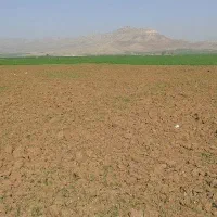 فروش-زمین-دشتی-نورآباد2-مناسب-گلخانه