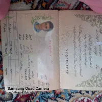 شناسنامه گم شده