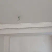 کارگچکاری وسفیدکاری وهمه کارهاش پذیرفته میشود