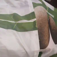 پرده حمام با نصب آسان