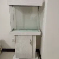 آکواریوم