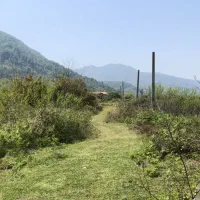 ۹۸۰ متر زمین سند تک برگ بعد از سرولات خ امیری|فروش زمین و ملک کلنگی|چابکسر, |دیوار