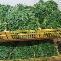 سبزی سرخ شده|خوردنی و آشامیدنی|قم, قلعه کامکار|دیوار