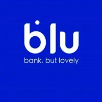 کار در منزل   بلو بانک