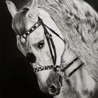 طراحی چهره کاملا مشابه عکس