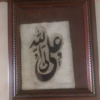 قاب پوست علی ولی آله