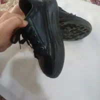 کفش اسپرت|کیف، کفش، کمربند|مشهد, طبرسی شمالی|دیوار