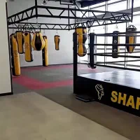 آموزش ترکیبی mma