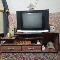 تلویزیون