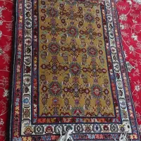 قالی فرش دستبافت|فرش|فیروزآباد (فارس), |دیوار