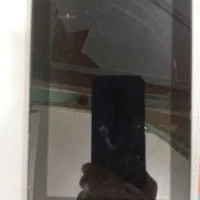 ضایعات گوشی