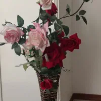 گل سالم با گلدون