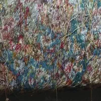 قالیچه سه متری سالاری رج 56