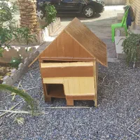 کلبه سگ و گربه