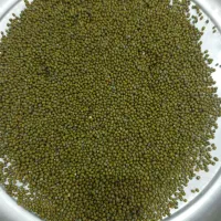 ماش درجه یک|خوردنی و آشامیدنی|حمیدیه, |دیوار