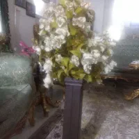 گل و گلدان چوبی|گل و گیاه طبیعی|اهواز, پردیس|دیوار