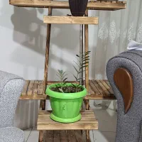 پایه گل