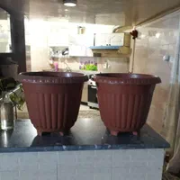 گلدان پلاستیکی نو